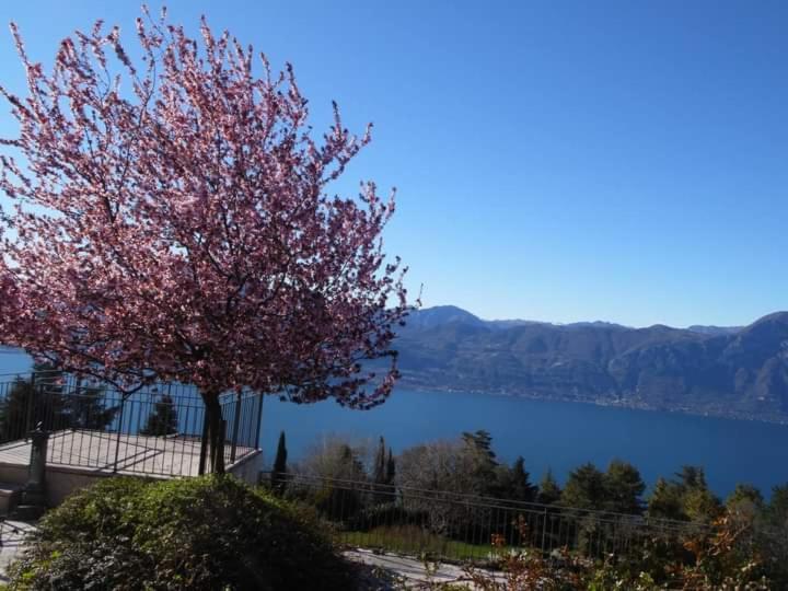 Le Bottesele Villa San Zeno di Montagna Exterior photo